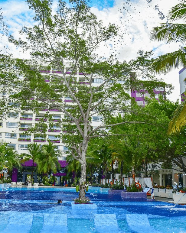 Diapositiva del carrusel