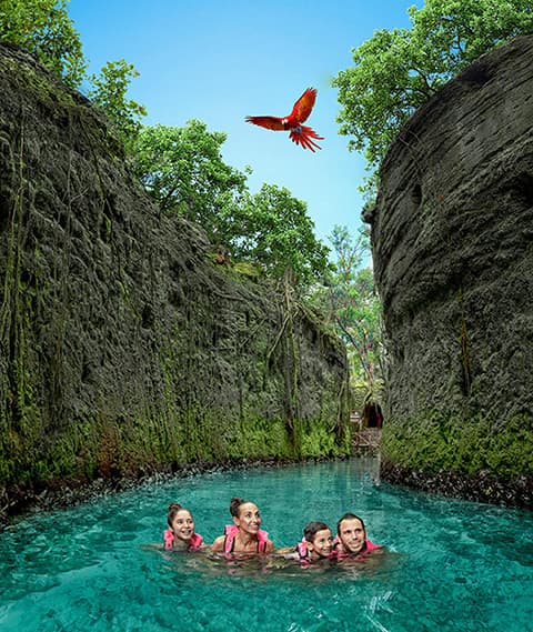 Tour a Xcaret con transporte