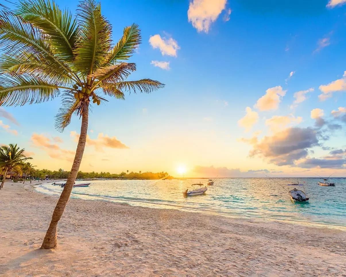 Diapositiva del carrusel