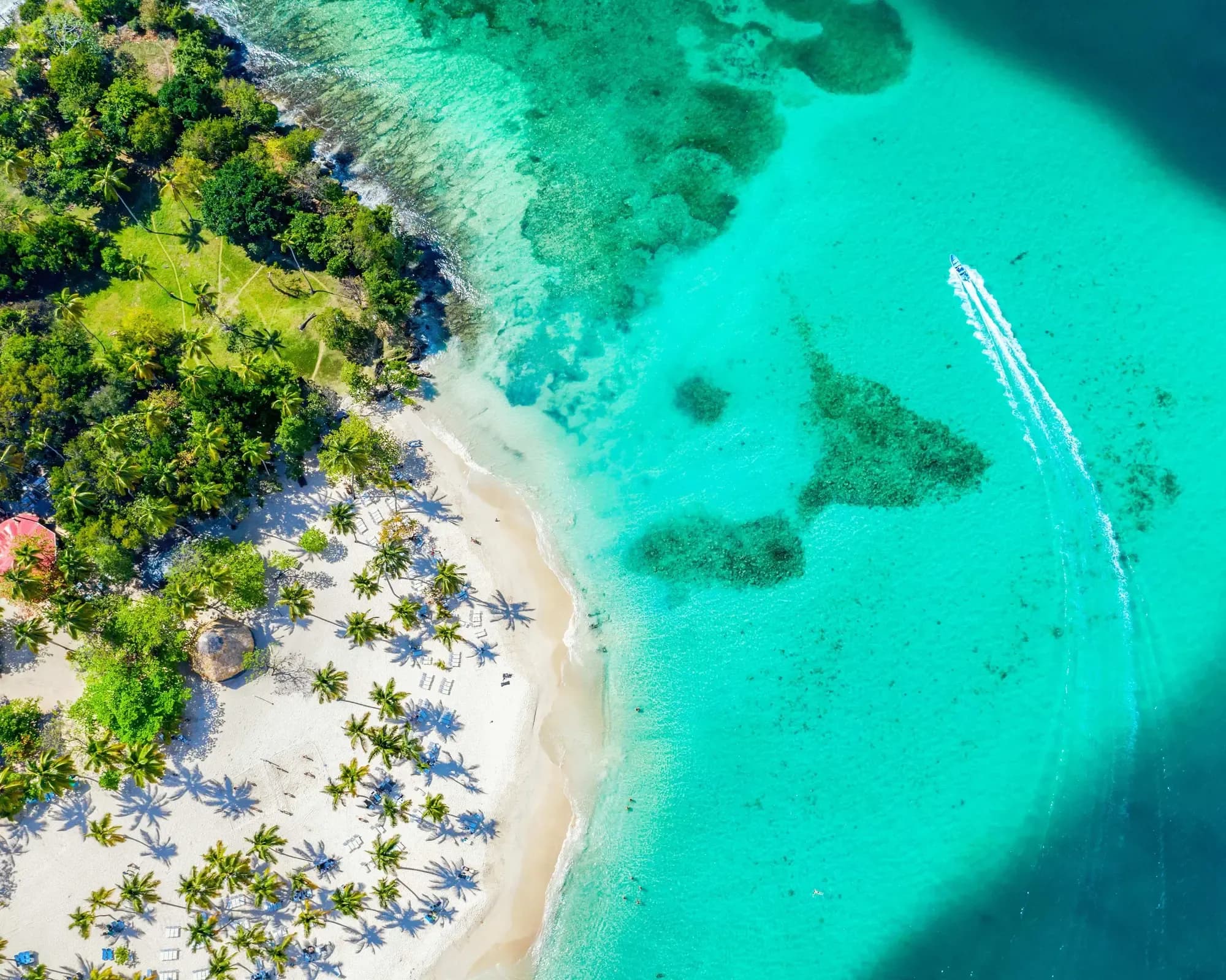 Diapositiva del carrusel