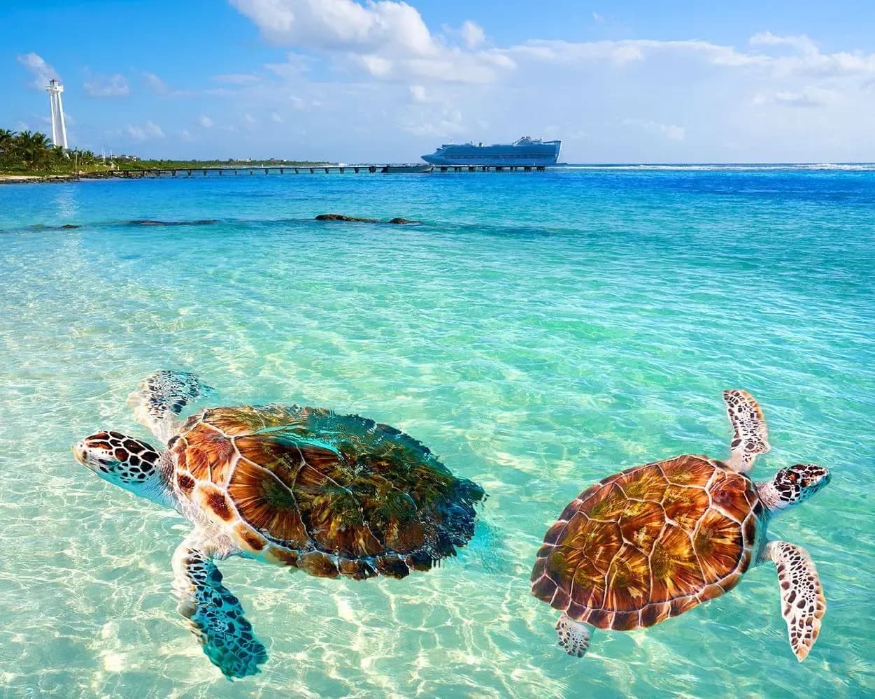 Diapositiva del carrusel